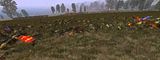 FieldsofFlanders.jpg image by athenogoras